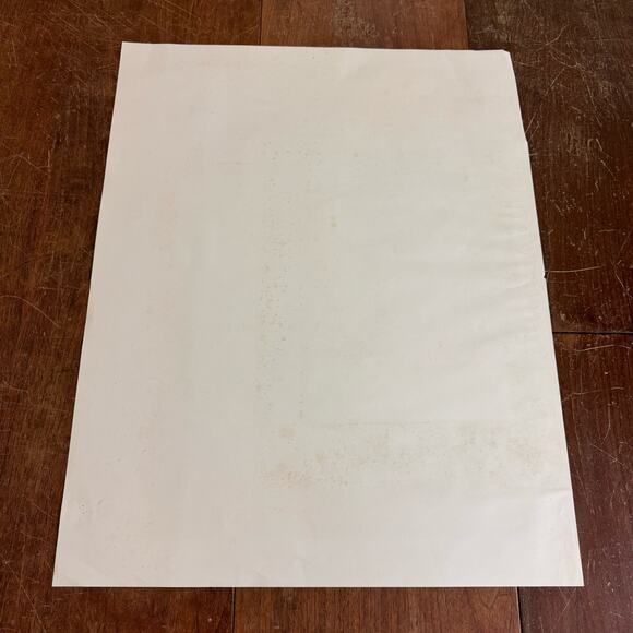 Chrysanthemum Pink Pastel Floral PRINT  Robert O. Lindneux Pre-1970 22 x 17.5" - Picture 6 of 8